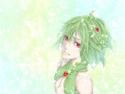 キレイな匠屋さん