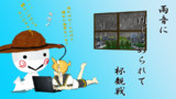 雨籠