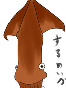 するめいかさん