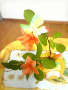 【むきもの】すかし百合　１