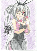 今日からゆずソフトさん祭り始めますw