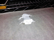 折り紙ホモォ…