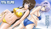 夏と言えば海！