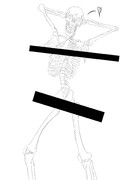 プレグナンツの法則