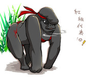 紅組代表(*'ω'*).゜+｡○＊