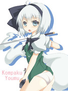 パンモロというかもはや丸出しな妖夢