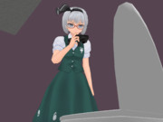 トイレの型番などについて知りたい妖夢