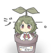 ゆうかりん栽培セット