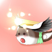 制御棒装着完了！