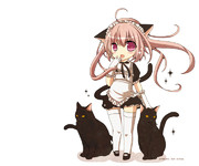 ('ω' )(*'∀'*)( 'ω')