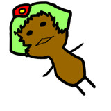 ライカって何かに似てるよねと思って