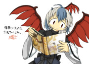 Q:弾幕とは？　回答者…朱鷺子