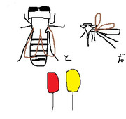 風船と虻と蚊だ