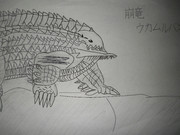 ウカムを描いてみた