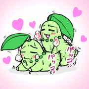 チコリータの兄妹