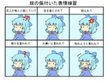 嫁の傷付いた表情練習（チルノ）