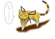大森ねこ先生