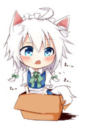 きゅーきゅーきゅー