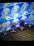 マイデザインさらすよ？