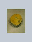 色鉛筆画　蜜柑