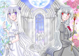 白の魔女と黒の魔女