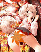 紅葉狩りの季節　がすぎてた