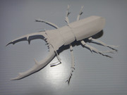 マンディブラリスフタマタクワガタのペーパークラフト(切り紙)