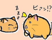 出会うことのない二匹