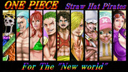 新世界　麦わら海賊団