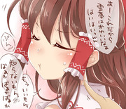 （*￣▽￣*）ゞ　あ～はいはい ｗｗｗ わかってるよぉ霊夢♪