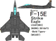 F-15E Strike Eagle -Bold Tigers-