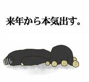 あけましておめでとうございます