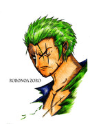 何年後かのゾロ