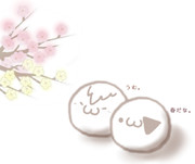 だお風味(・ω・)