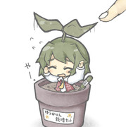 ゆうかりん栽培セット２