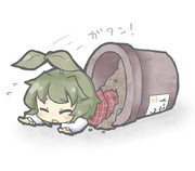 ゆうかりん栽培セット３