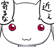 QB「契約したいの？」