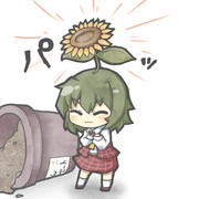 咲きました！！！