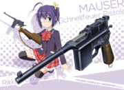 マウザー　シュネルフォイアー