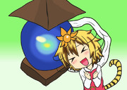 （＞ワ＜≡＞ワ＜)ホシホシホシ