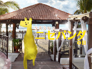 ２月８日はニセパンダの日（仮）