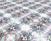 無限平面な妖精