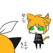 ねこぱととリン