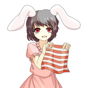 縦縞を横縞にする程度の能力