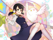 たまこまーけっと