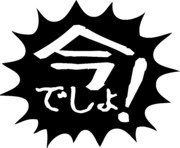 今でしょ！