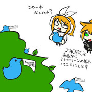 なんかのきとリン