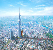 モスラの幼虫がスカイツリーに＞(;ﾟДﾟ)!