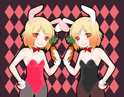 ダブルバニ～琴浦さん。