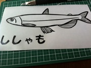 ＼ししゃも／